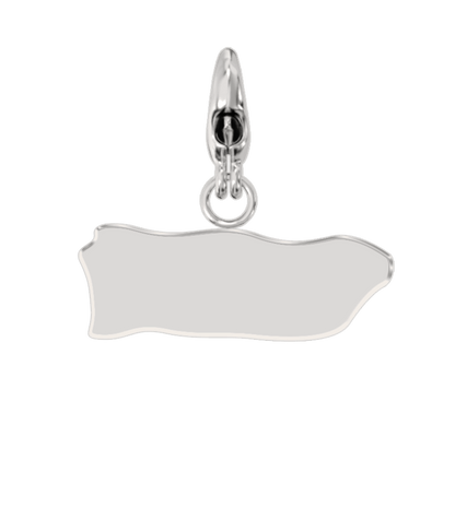USA State Charm Set
