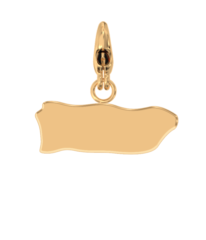 USA State Charm Set