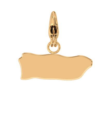 USA State Charm Set