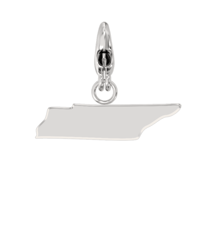 USA State Charm Set