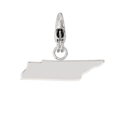 USA State Charm Set