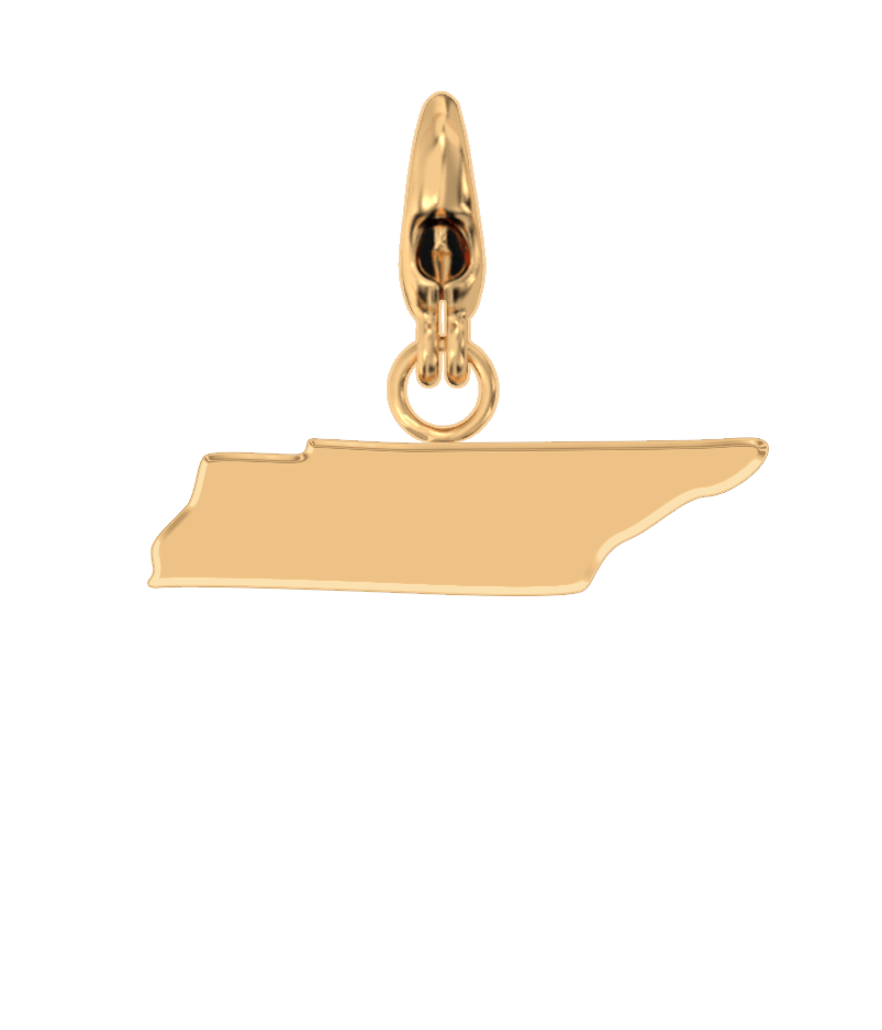 USA State Charm Set