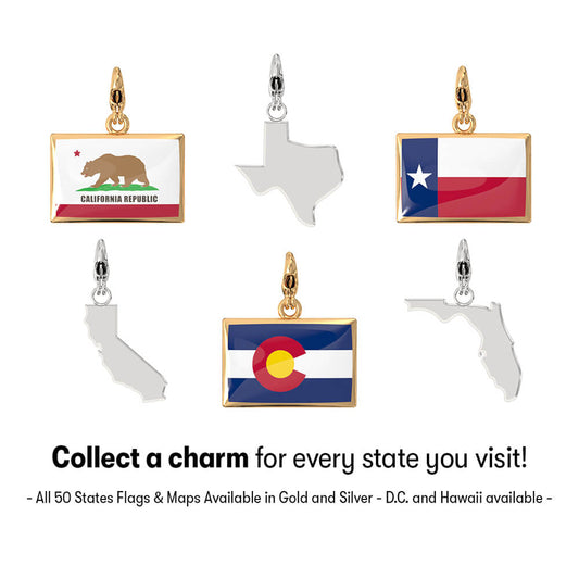 USA State Charm Set