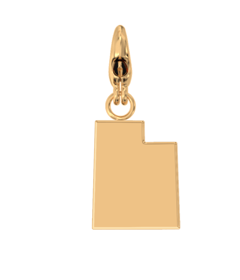 USA State Charm Set