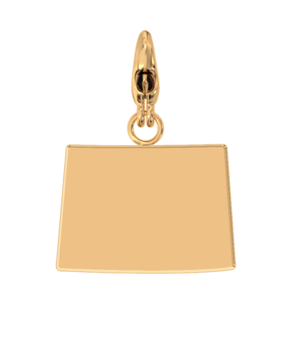 USA State Charm Set