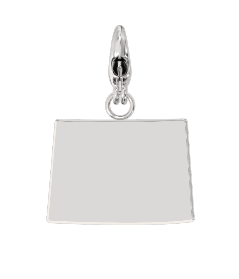 USA State Charm Set