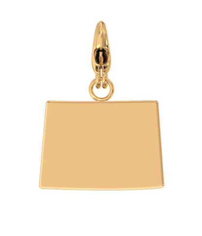 USA State Charm Set