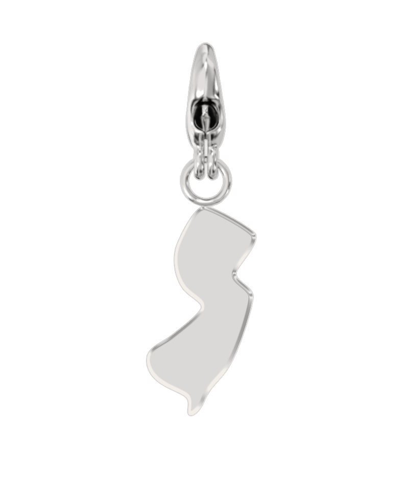 USA State Charm Set