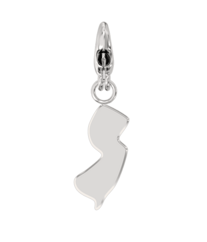 USA State Charm Set
