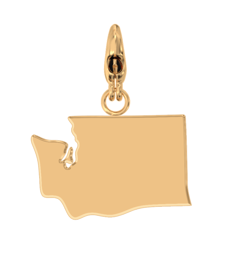 USA State Charm Set