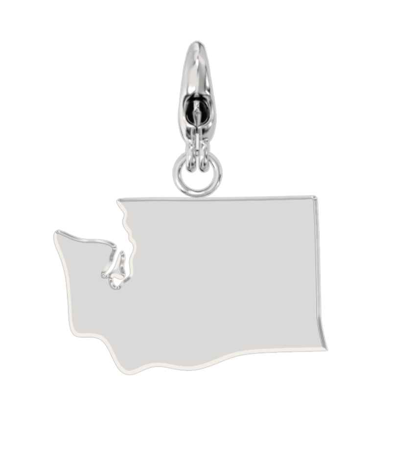 USA State Charm Set