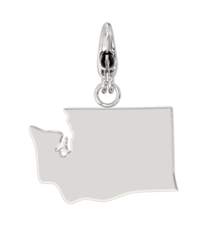 USA State Charm Set