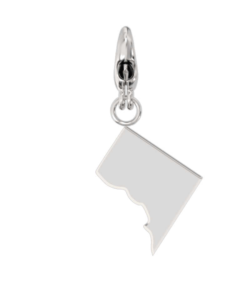 USA State Charm Set