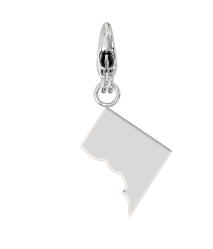 USA State Charm Set
